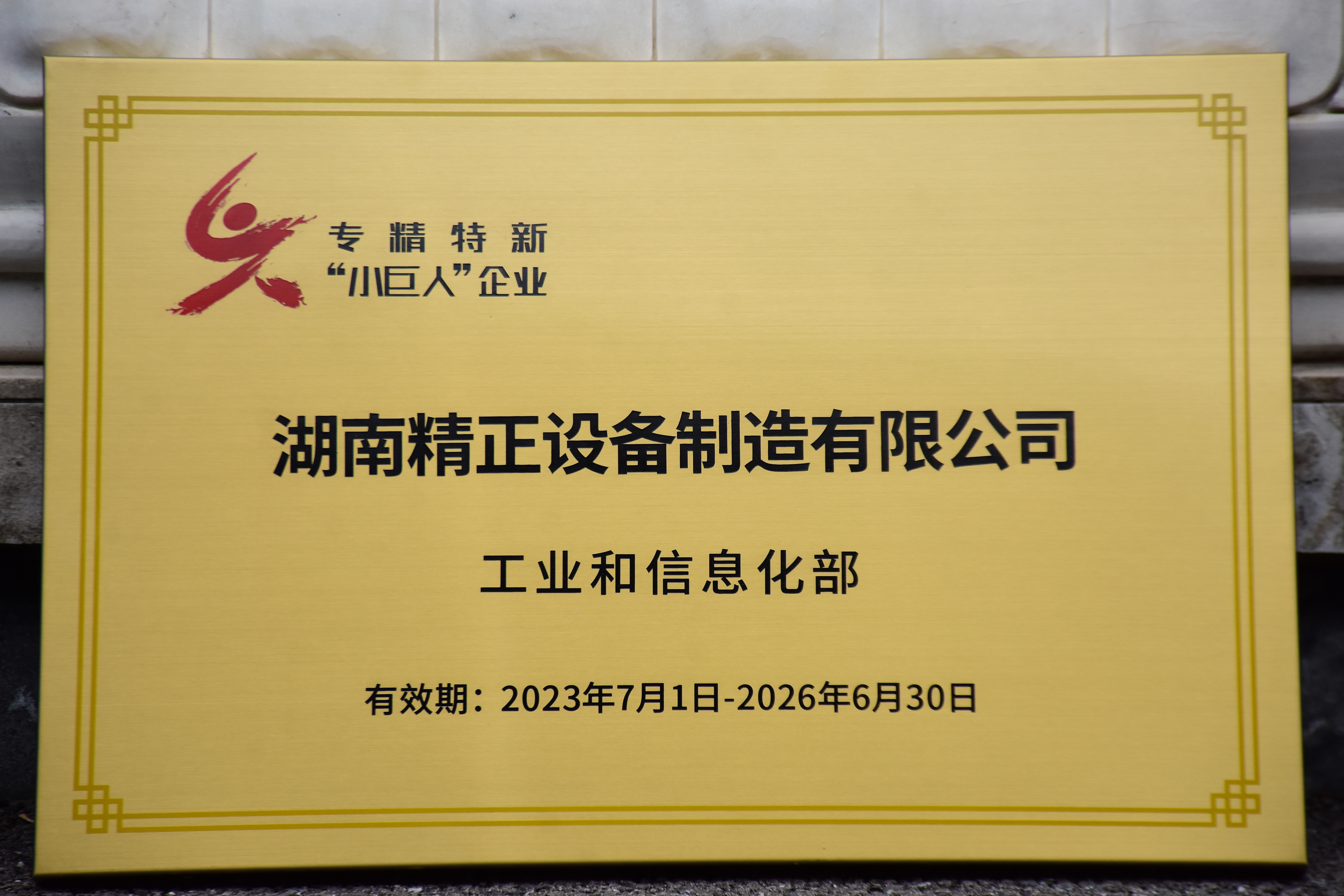 乐鱼官方网页版获得“专精特新”小巨人企业